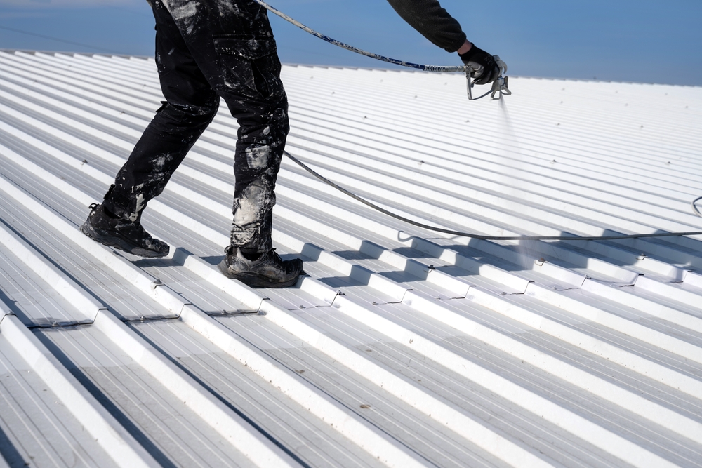 Roof fascia and gutter painting